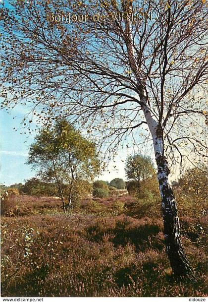 Belgique - Virton - Bonjour de Virton - Carte Neuve - CPM - Voir Scans Recto-Verso