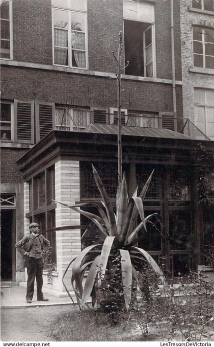 BELGIQUE - Waremme - Paul jacques Houssa notaire à Waremme - carte postale ancienne