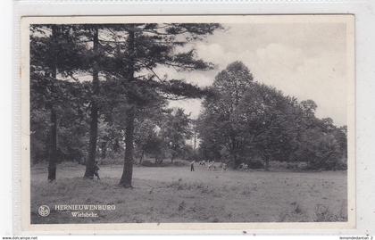 Wielsbeke. Hernieuwenburg. *