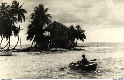 british honduras, BELIZE, Rendezvous Caye, Palm Trees (1950s) RPPC Postcard