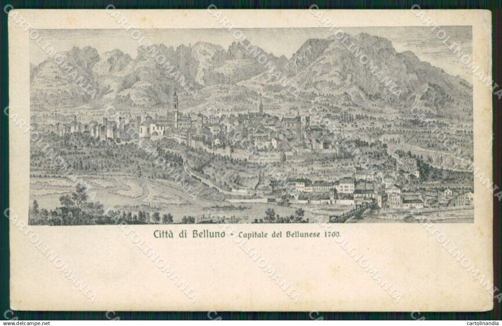 Belluno Città cartolina ZKM8665