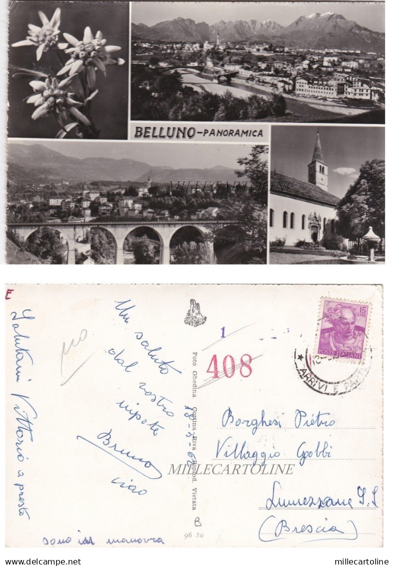 BELLUNO - Panoramica    1962