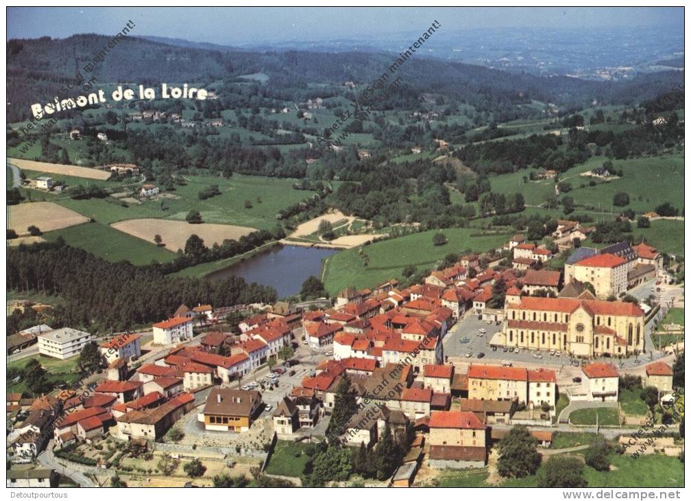 BELMONT DE LA LOIRE Loire 42 : vue générale aérienne