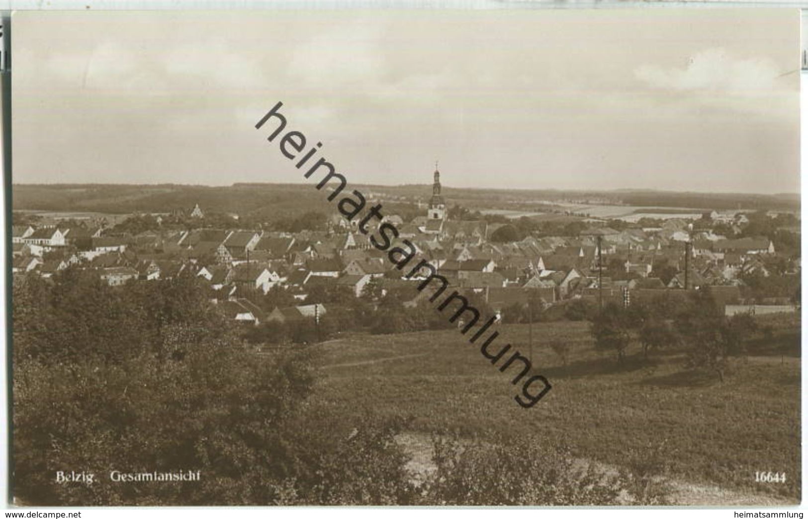 Belzig - Gesamtansicht - Foto-Ansichtskarte - Verlag Emil Balzer Belzig