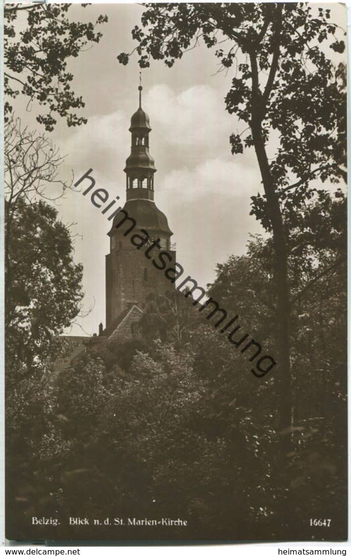 Belzig - St. Marien-Kirche - Foto-Ansichtskarte - Verlag Emil Balzer Belzig