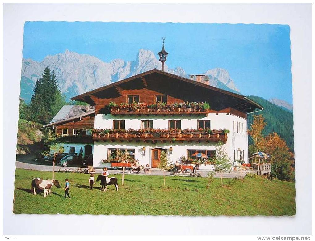 Berghof Pension Wildau -Lungötz am Tennengebirge Lammertal -  -Austria      CPM    VF  D47381