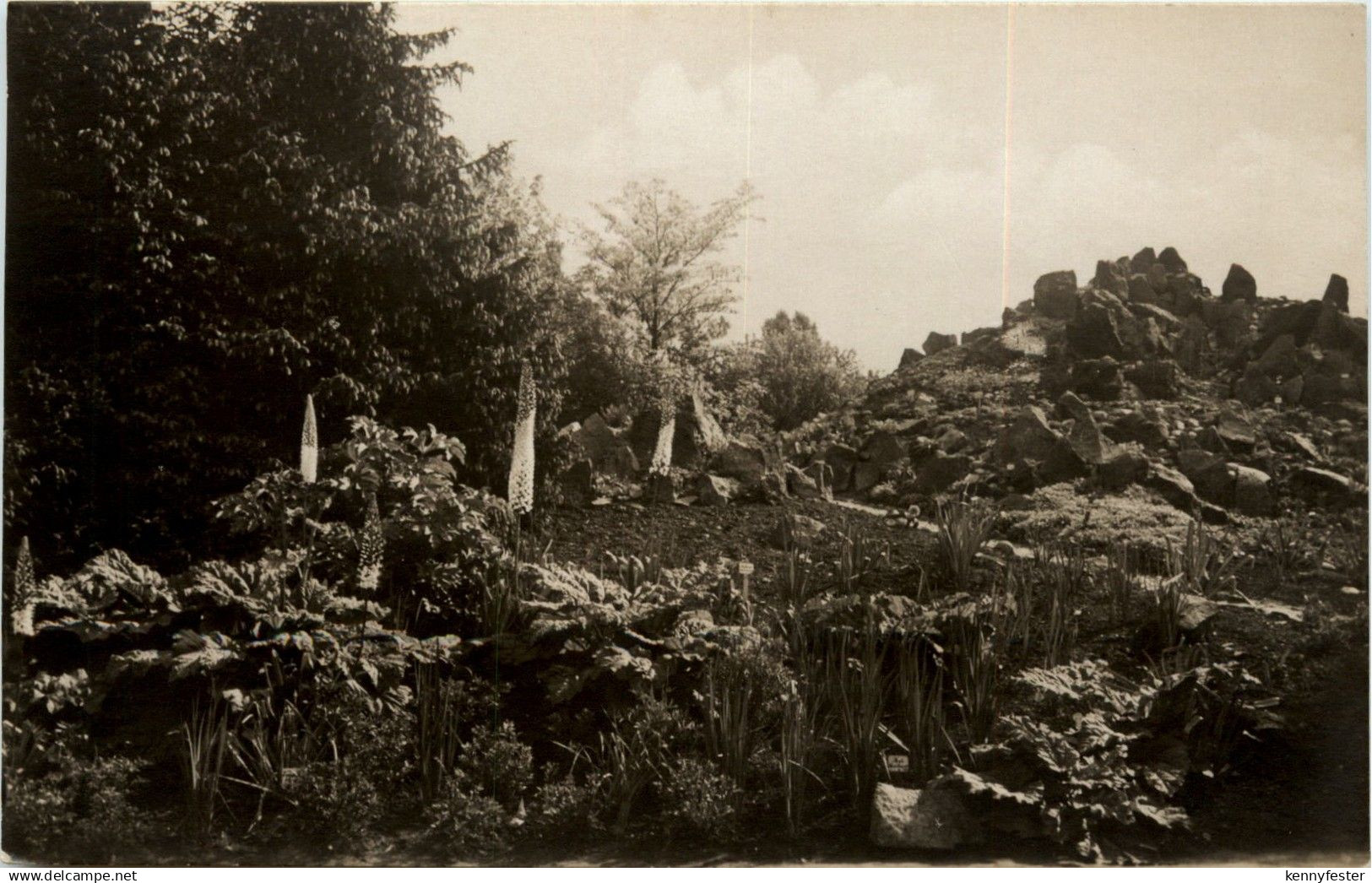 Berlin Dahlem - Botanischer Garten