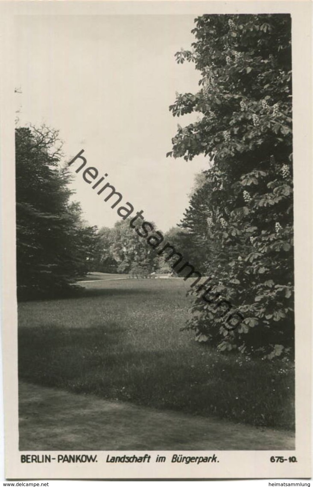 Berlin Pankow - Landschaft im Bürgerpark - Foto-AK 30er Jahre - Verlag Ludwig Walter Berlin