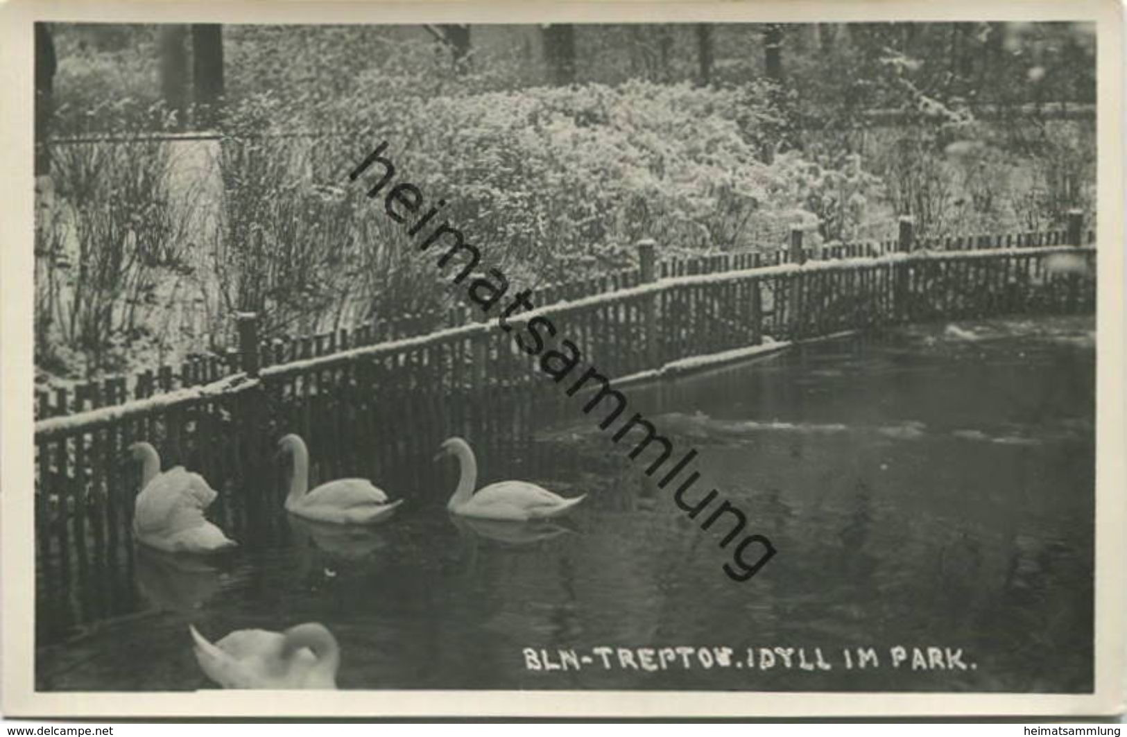 Berlin - Treptow - Idyll im Park - Foto-AK 30er Jahre