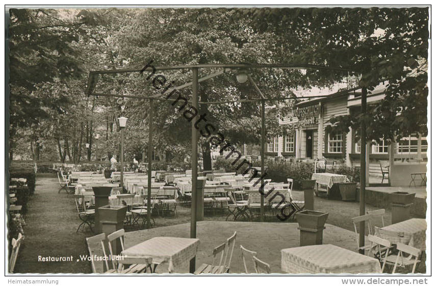 Berlin-Zehlendorf - Krumme Lanke - Restaurant Wolfsschlucht - Foto-Ansichtskarte