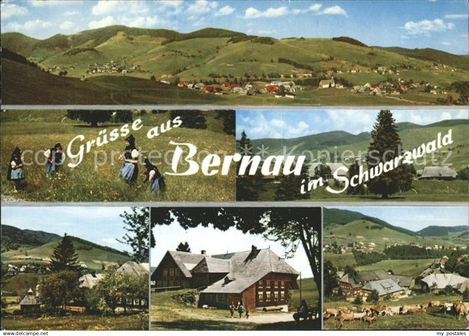 Bernau Schwarzwald