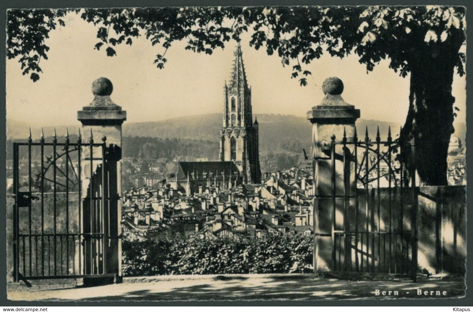 BERNE vintage postcard Ben Sweden