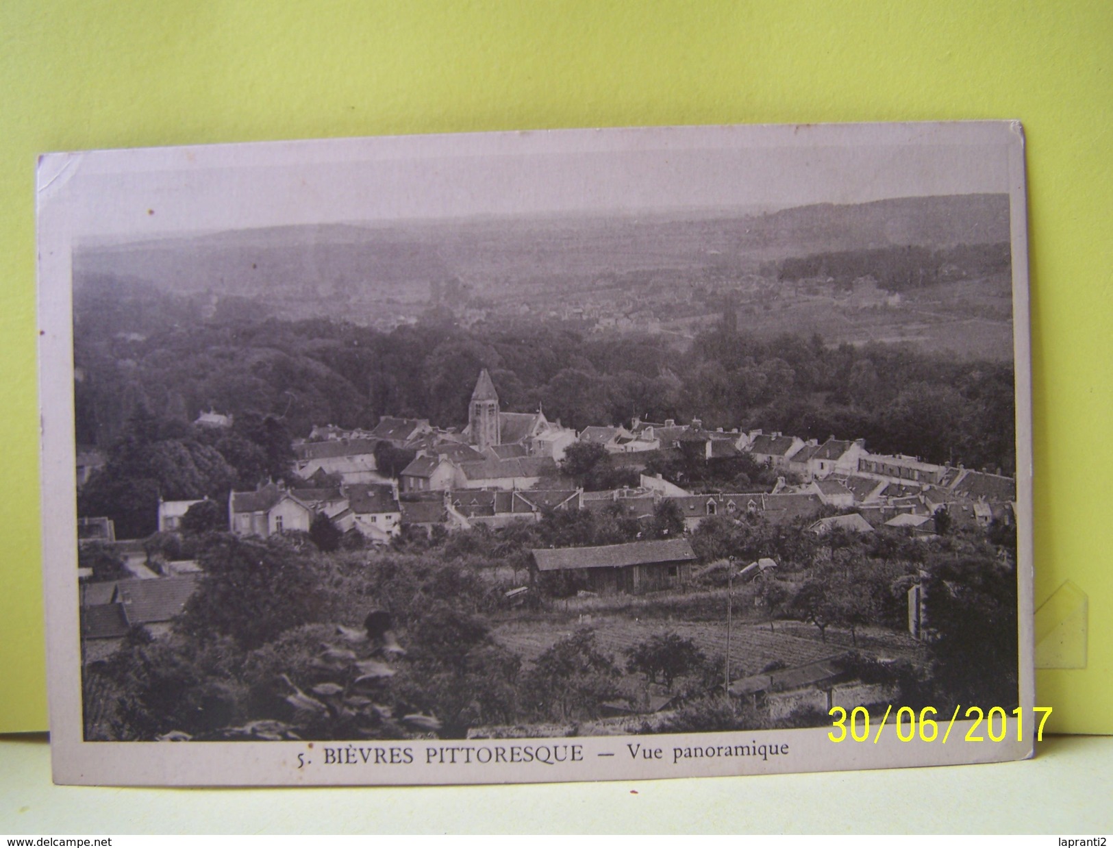 BIEVRES (ESSONNE) VUE PANORAMIQUE.