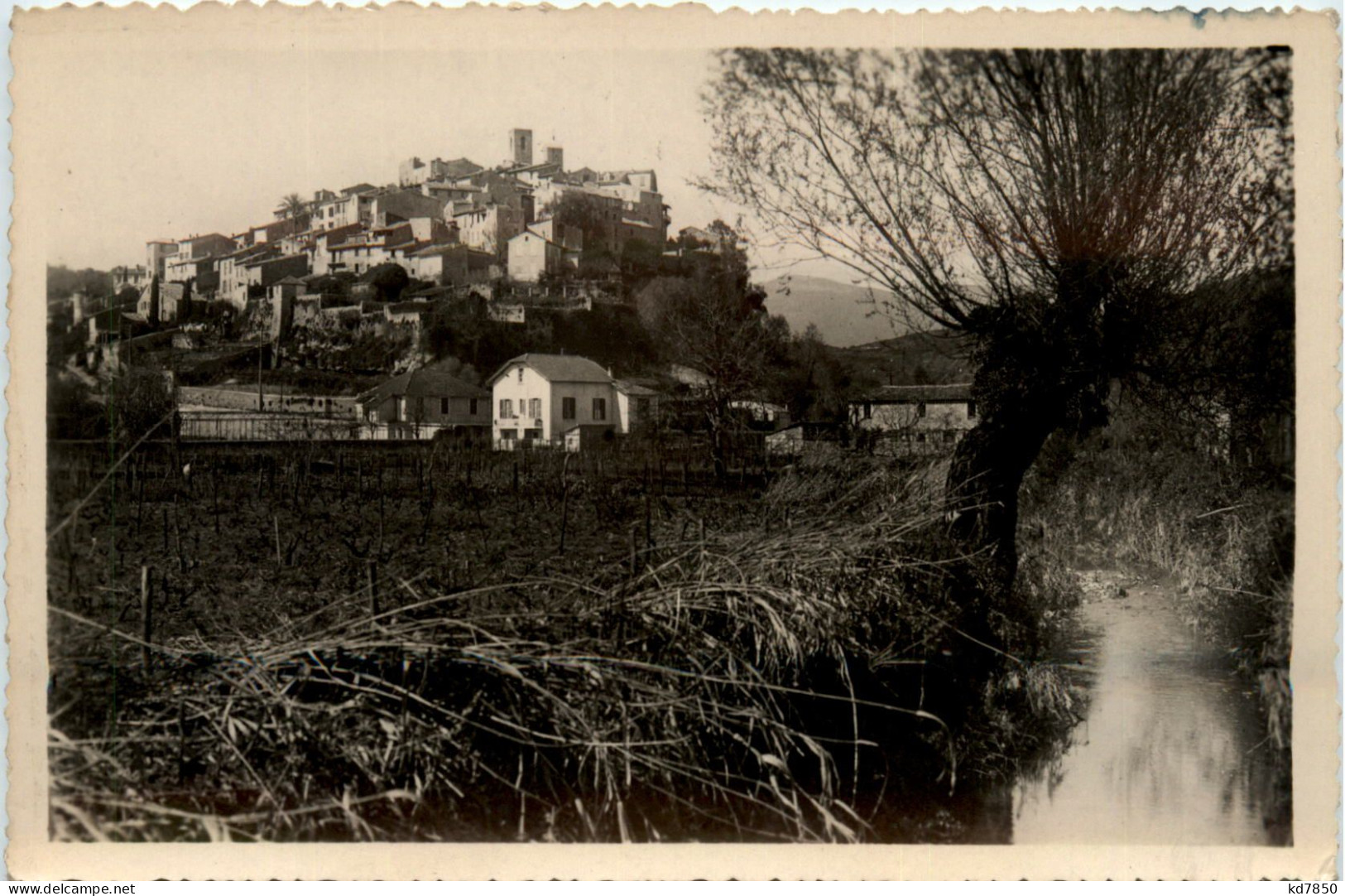 Biot, Vue generale