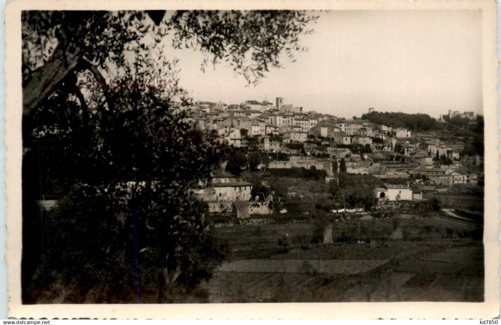 Biot, Vue generale