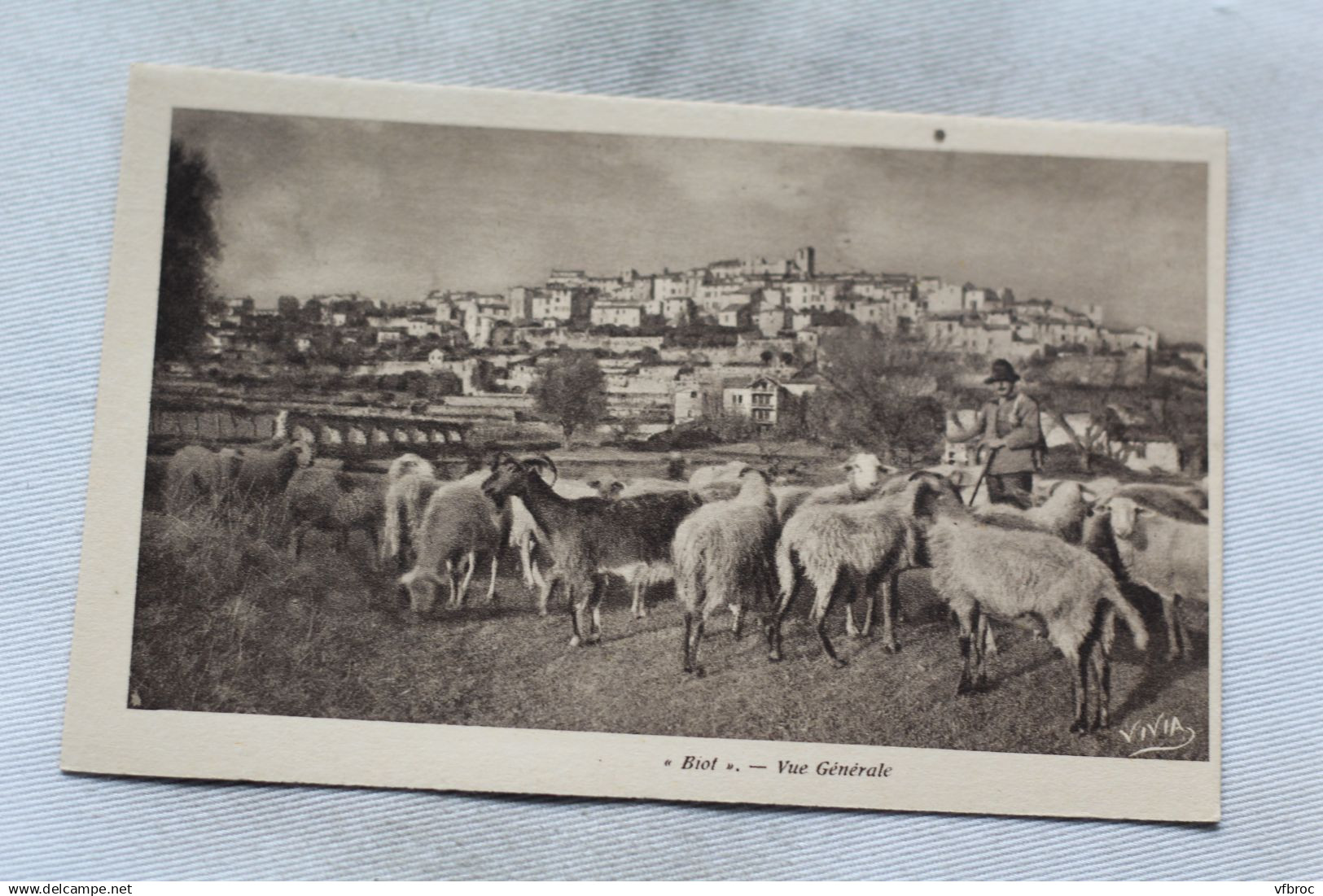 Biot, vue générale, Alpes Maritimes 06