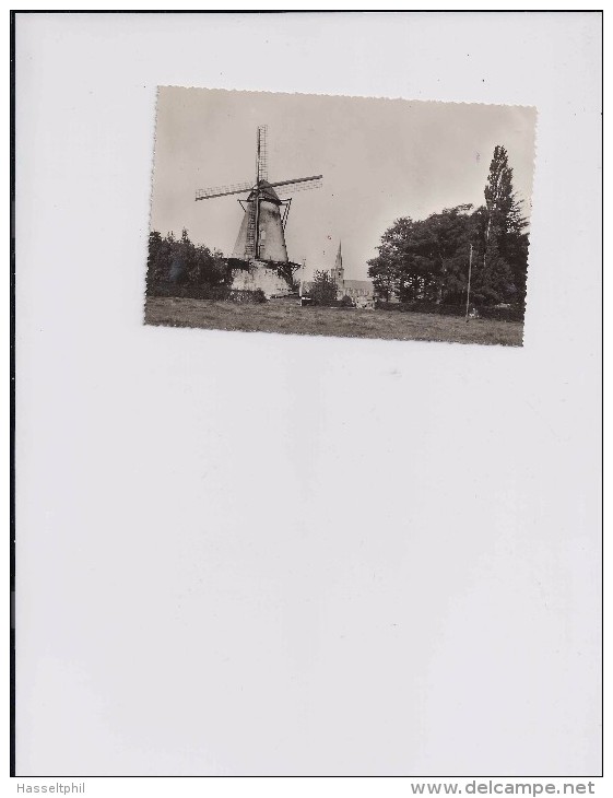 Boechout  De Molen