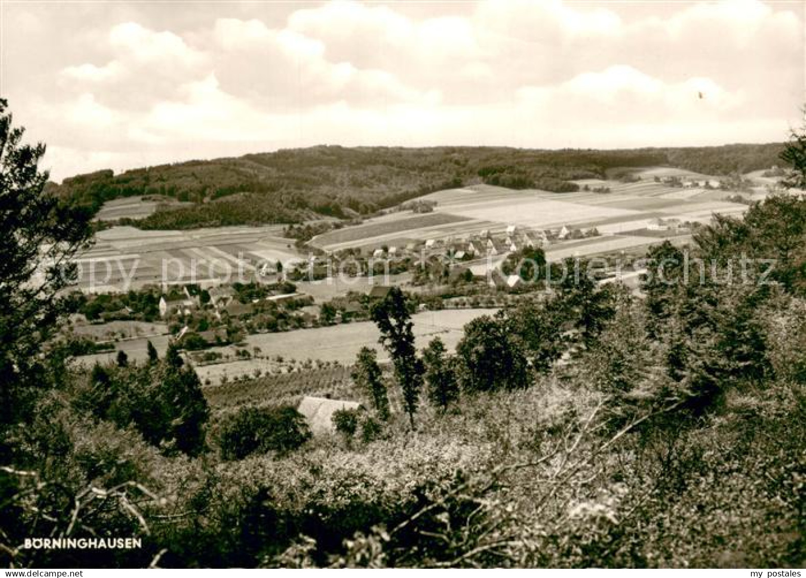 Boerninghausen Teilansicht