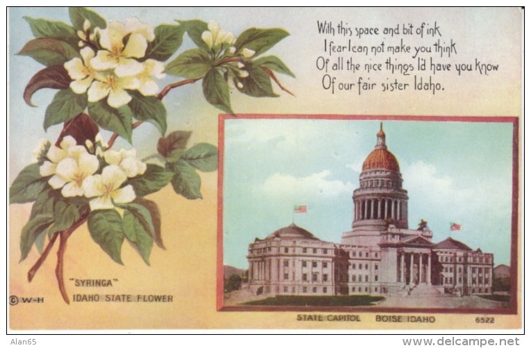 Boise Idaho, State Capitol Building, c1900s/10s Vintage Postcard