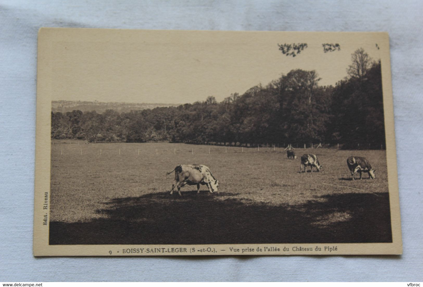 Boissy saint Leger, vue prise de l'allée du château du Piplé, Val de Marne 94