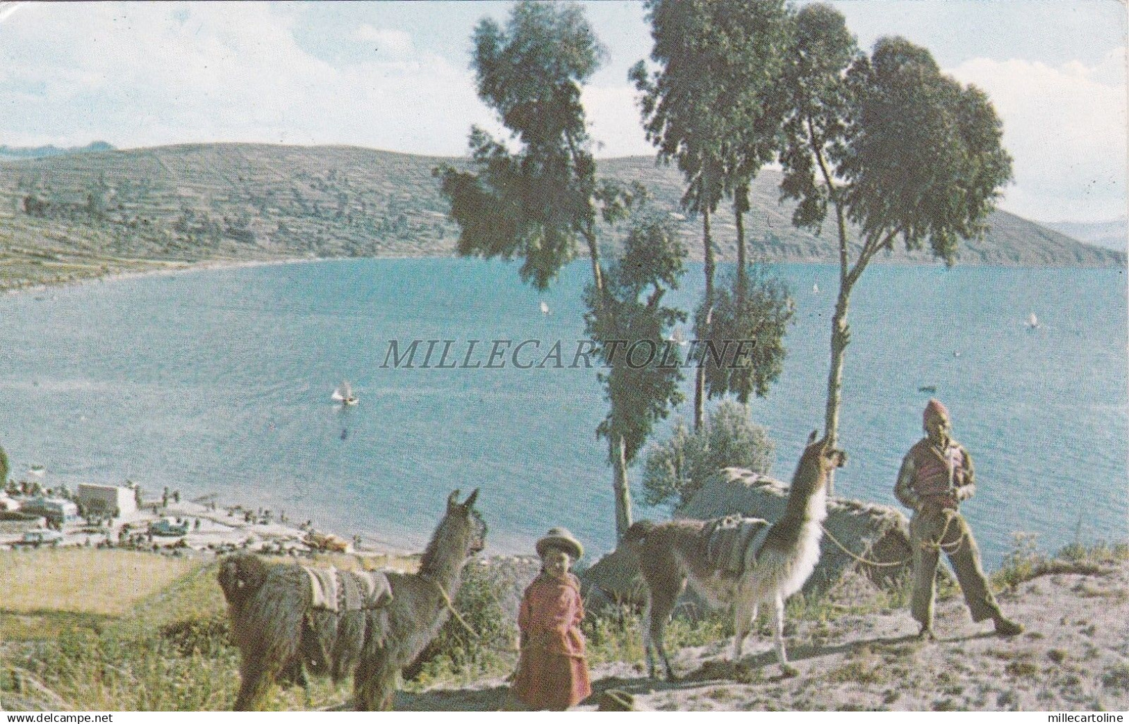 BOLIVIA - Lago Titicaca