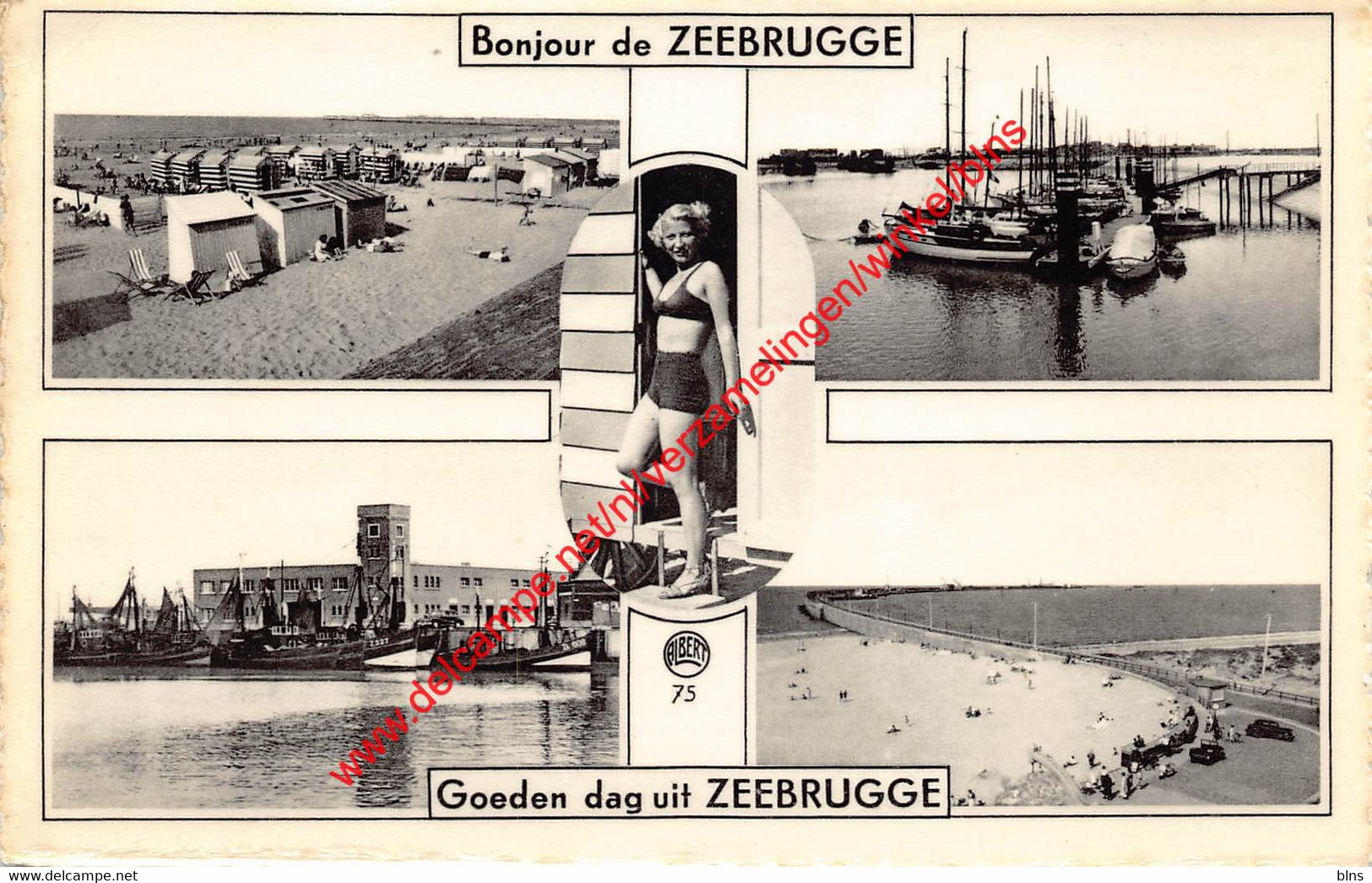 Bonjour de ZEEBRUGGE - Zeebrugge