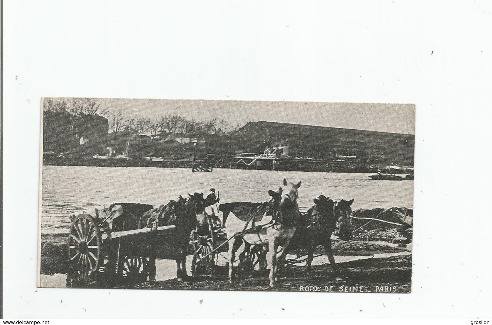 BORDS DE SEINE PARIS (ATTELAGES CHEVAUX )