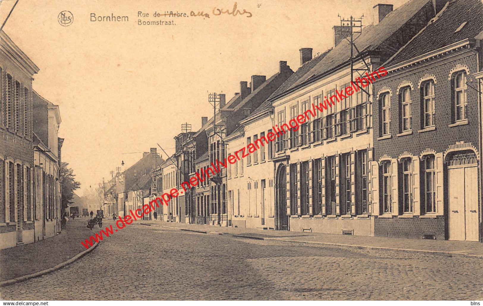 Bornhem - Boomstraat - Bornem