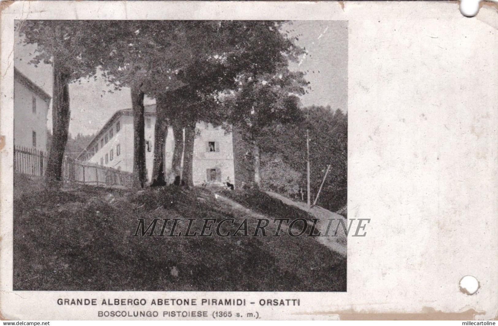 BOSCOLUNGO: Grande Albergo Abetone Piramidi - Orsatti   1922