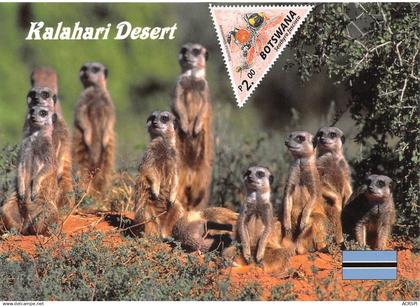 BOTSWANA Suricata suricatta lémuriens dos vierge non voyagé éditions MAMM2020(2 Scans) N° 6 \MP7111