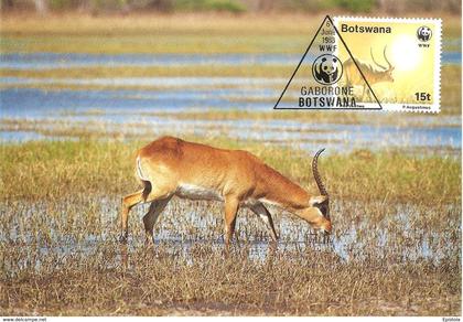 1988 - BOTSWANA GABORONE - Red Lechwe - Antilope Kobus leche