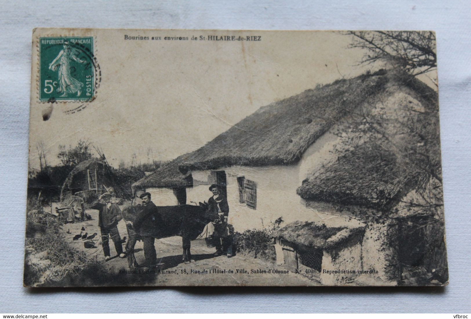 Bourines aux environs de saint Hilaire de Riez, Vendée 85