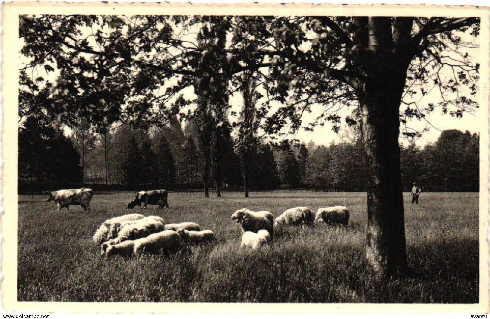 BRAIVES / QUIETUDE / CHATEAU DE FALLAIS