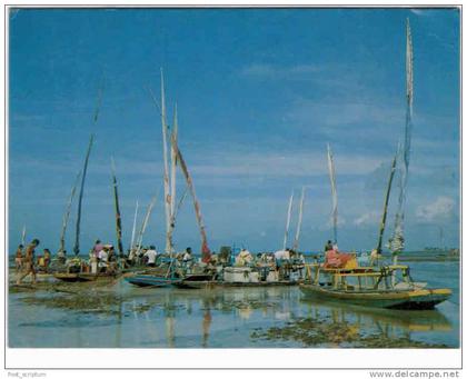 Amérique - Brésil - Maceio - Alagoas -