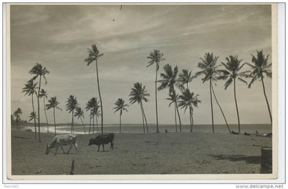 BRESIL - BRAZIL - SALVADOR DE BAHIA