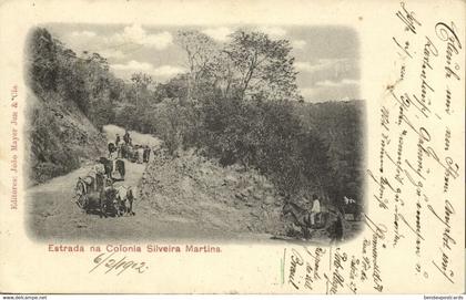 brazil, SILVEIRA MARTINS, Estrada na Colonia (1902) Postcard