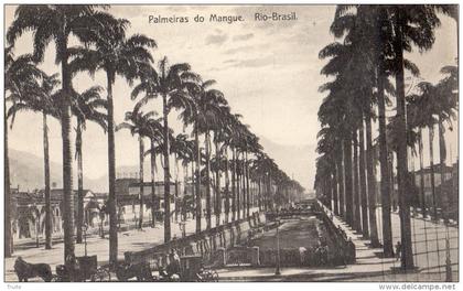 PALMEIRAS DO MANGUE RIO DE JANEIRO