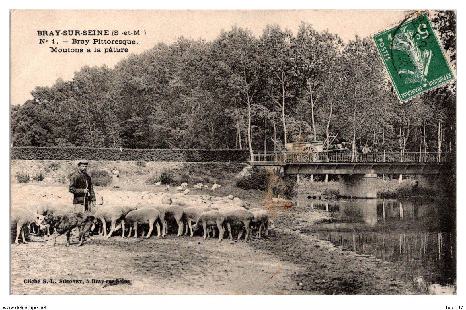 Bray sur Seine - Moutons à la Pâture