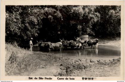 Sao Paulo - Carro de bois