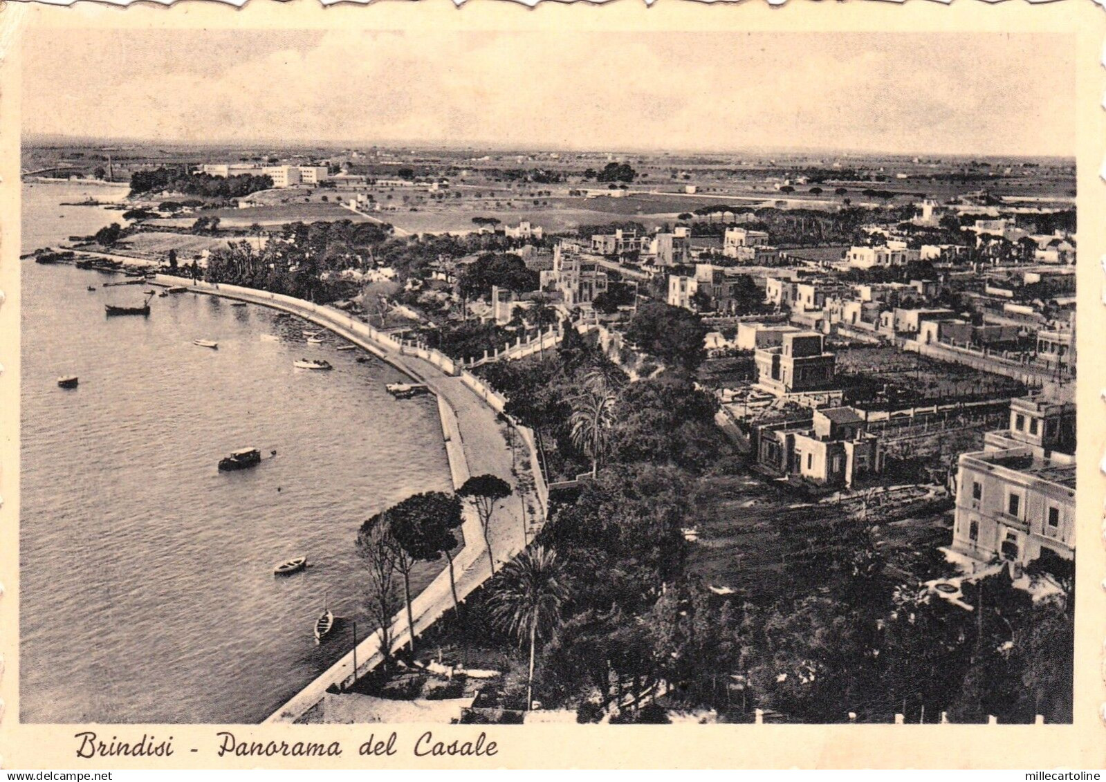 #BRINDISI: PANORAMA DEL CASALE