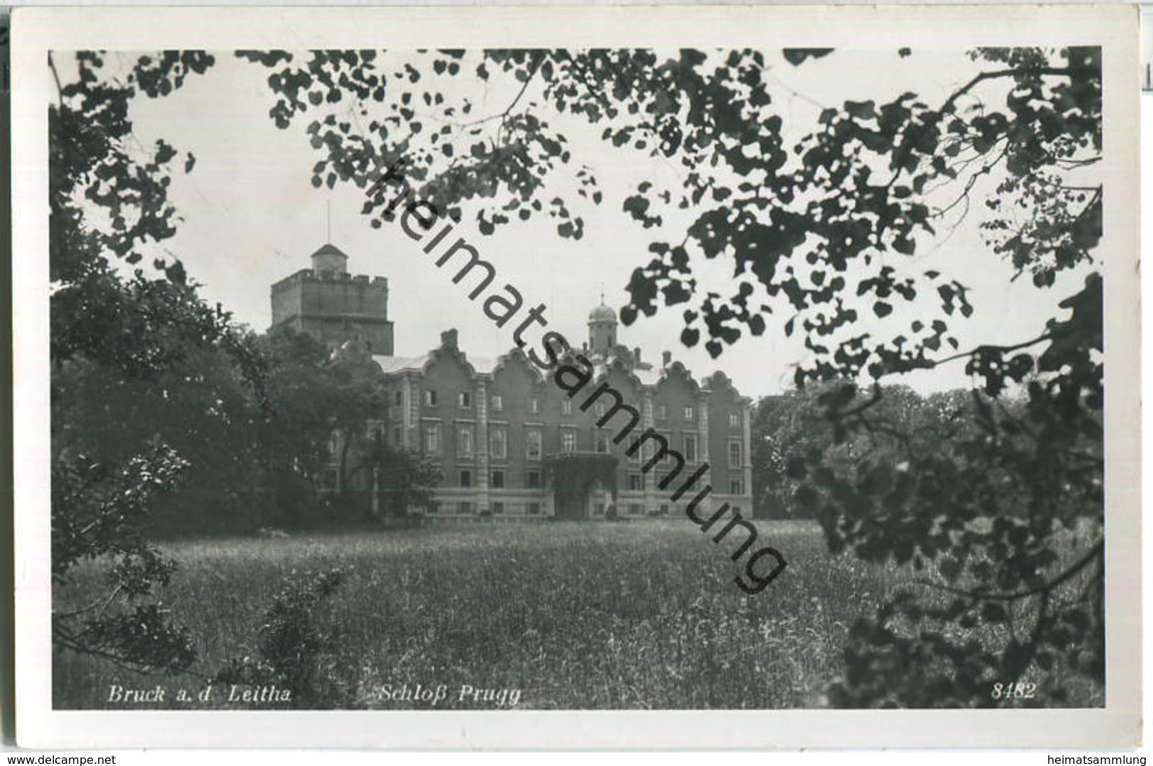 Bruck an der Leitha - Schloss Prugg - Foto-Ansichtskarte