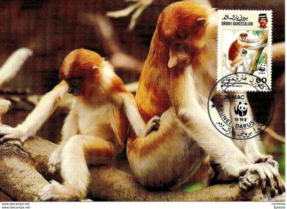 1991 - BRUNEI DARUSSALAM - Proboscis Monkey Singe  WWF