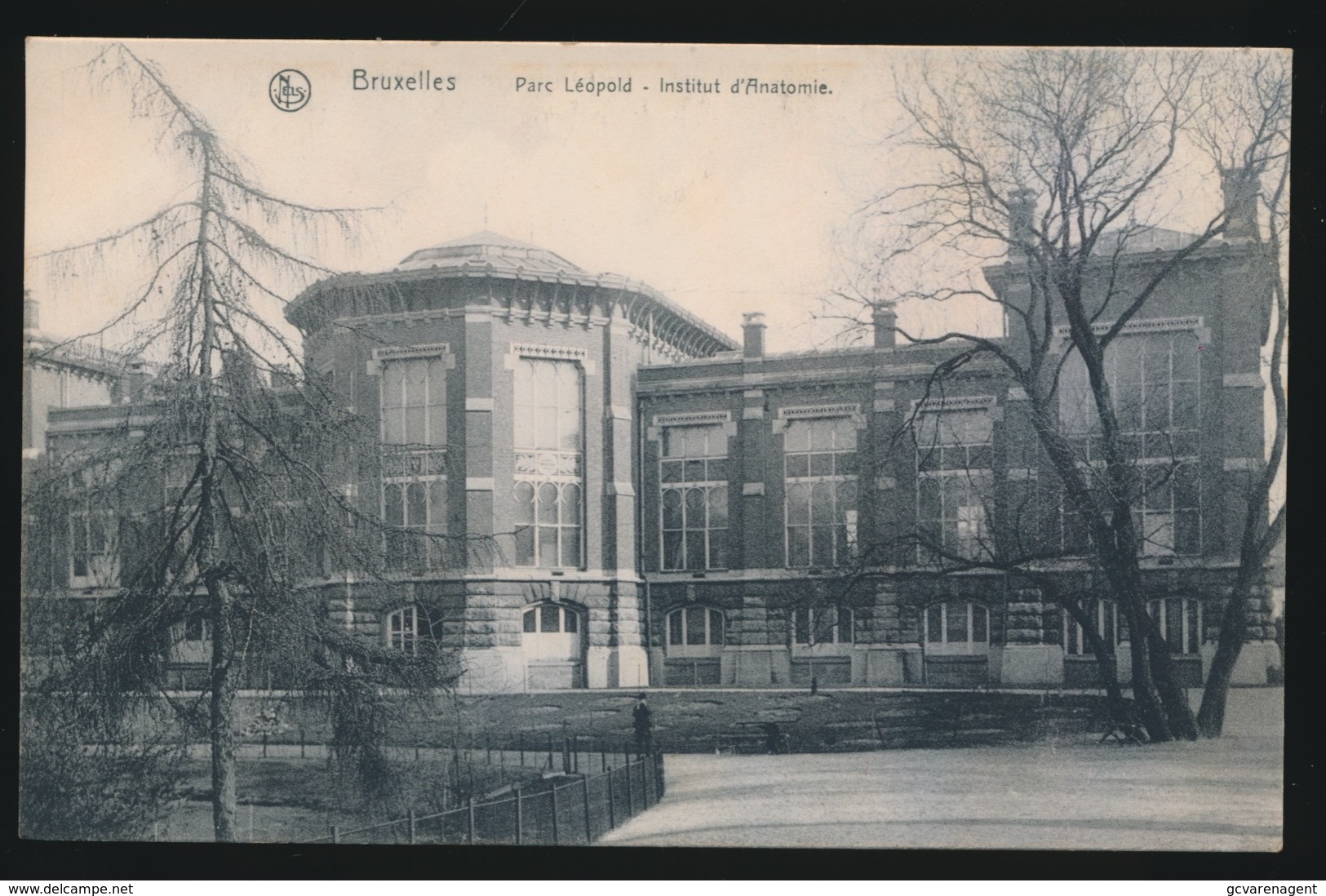 BRUXELLES PARC LEOPOLD  INSTITUT D'ANATOMIE