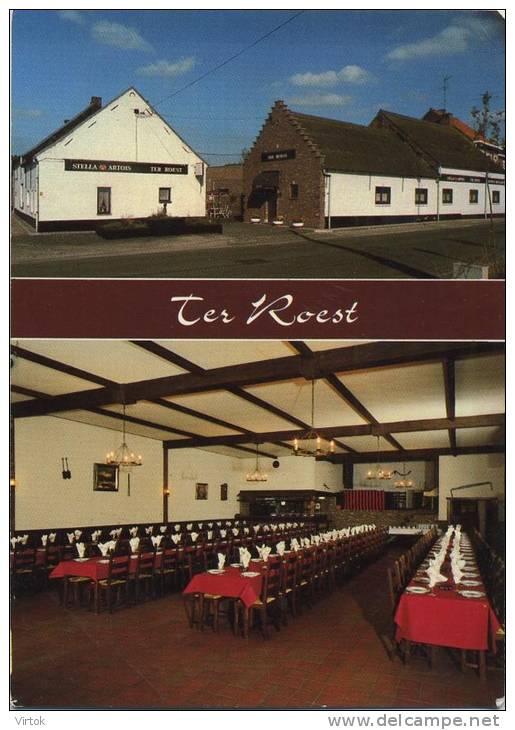 Buggenhout :  Traitair Francois  '  TER ROEST '  2 scnas