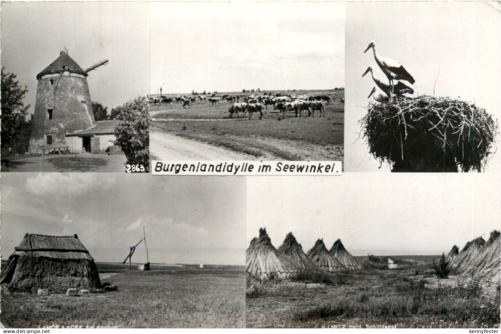 Burgenlandidylle im Seewinkel