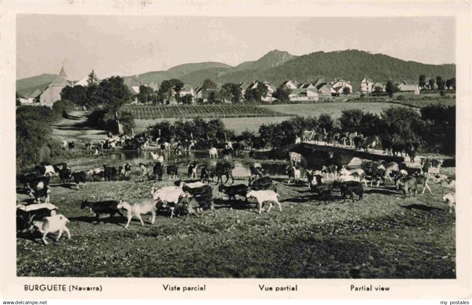 Burguete Pirineo-Navarro Pamplona Navarra ES Panorama