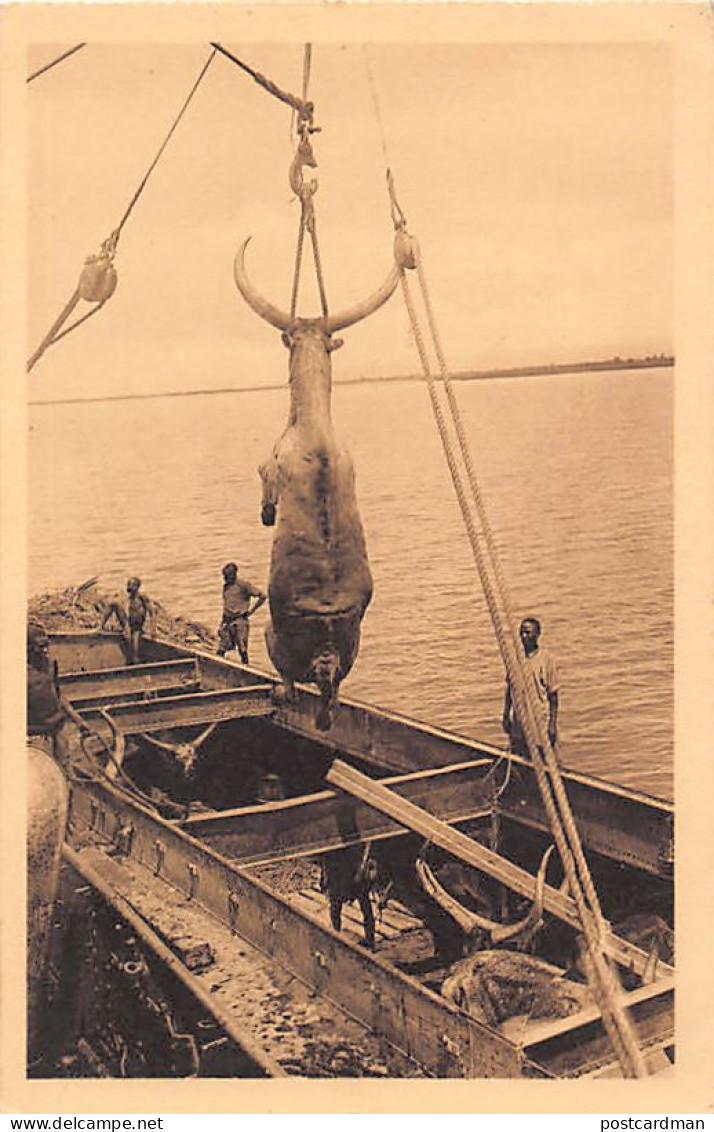 Burundi - BUJUMBURA - Loading of slaughter cattle - Publ. Jos. Dardenne Série 1 N. 7