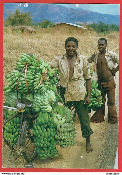 Burundi - Transport de régimes de bananes