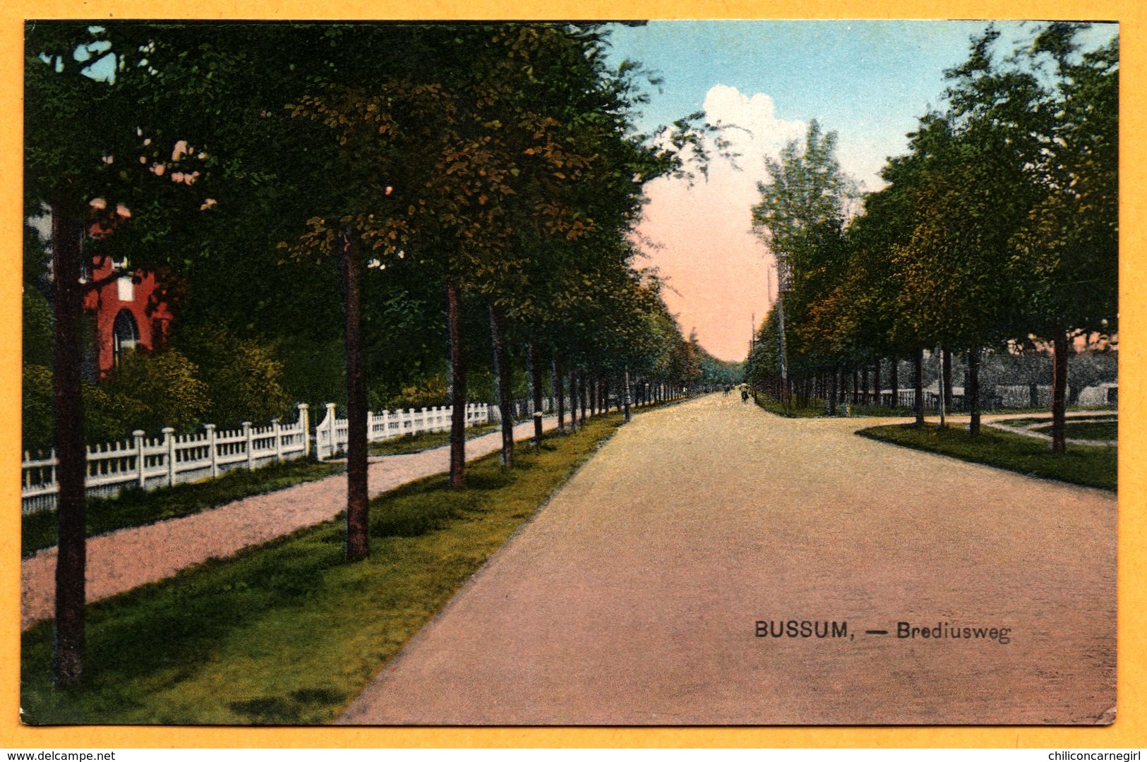 Bussum - Brediusweg - NAUTA - Colorisée