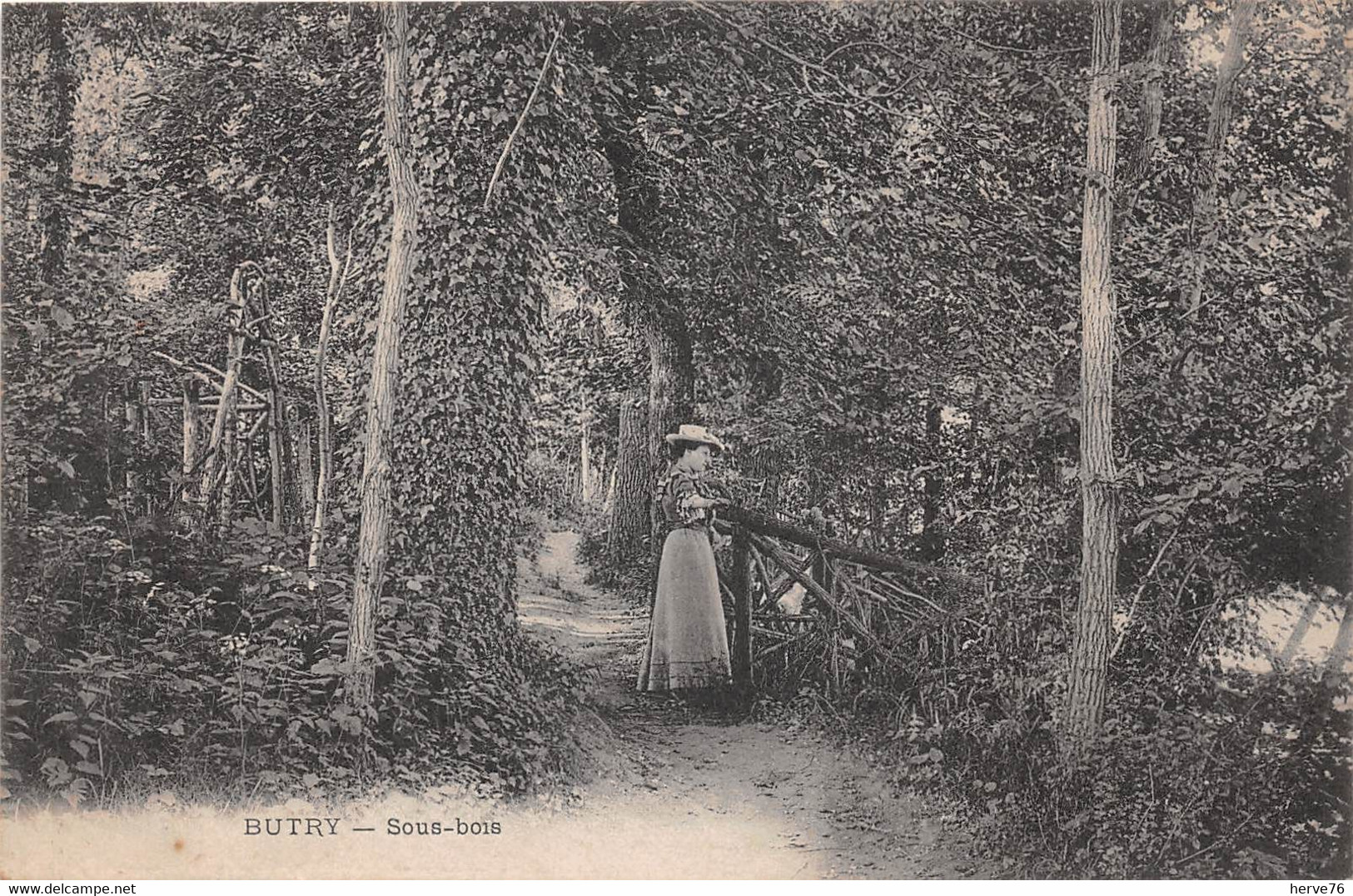 BUTRY - Sous-bois